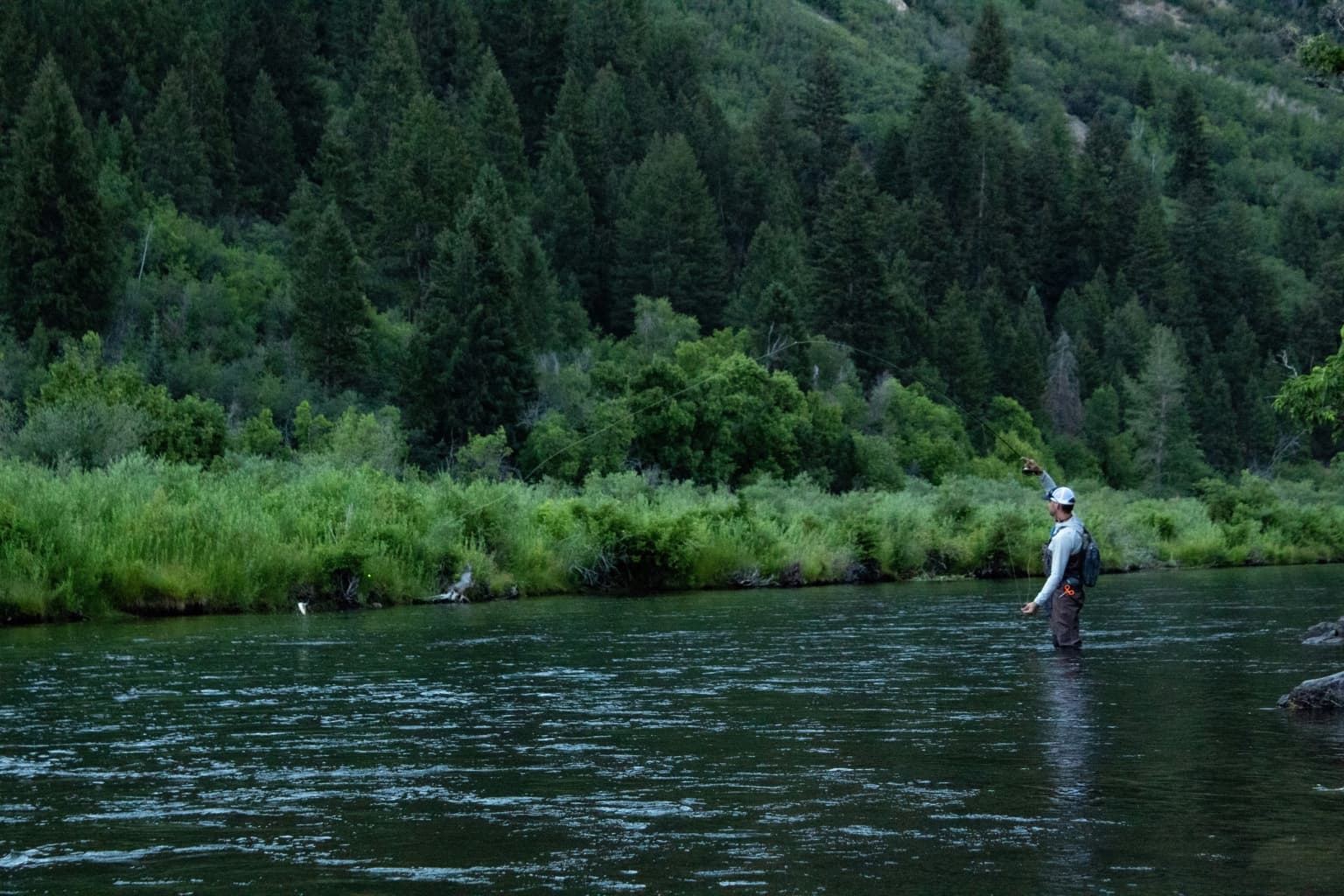 Angler casting a fly line on a misty Pennsylvania river at dawn