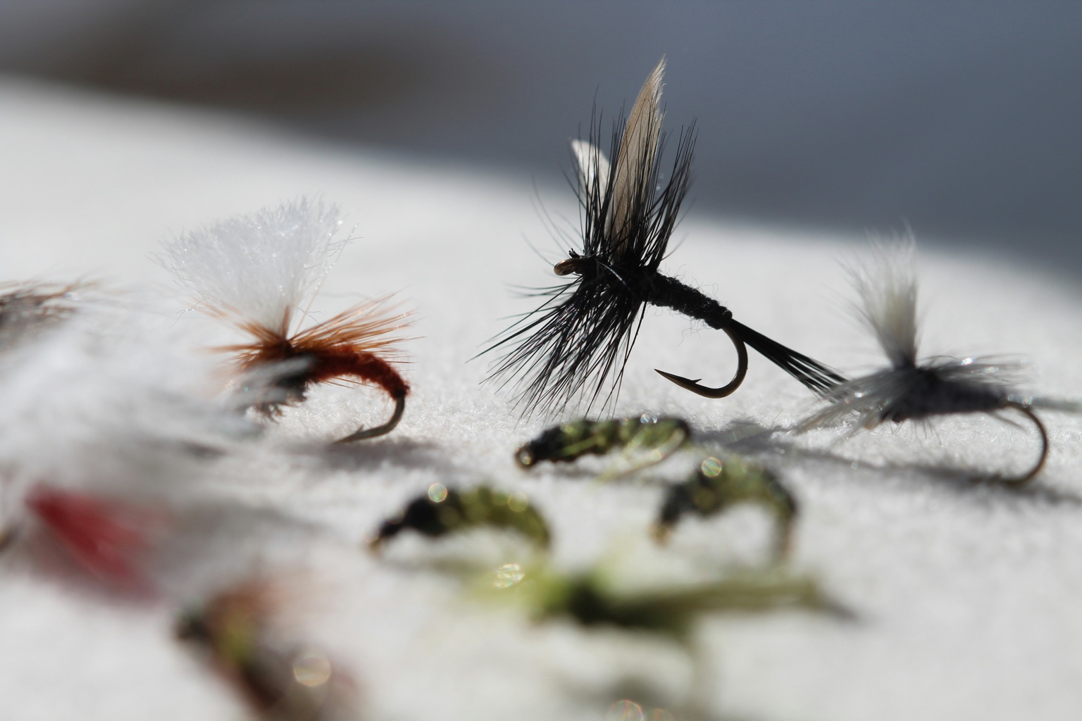 Essential Gear for Spring Hatches