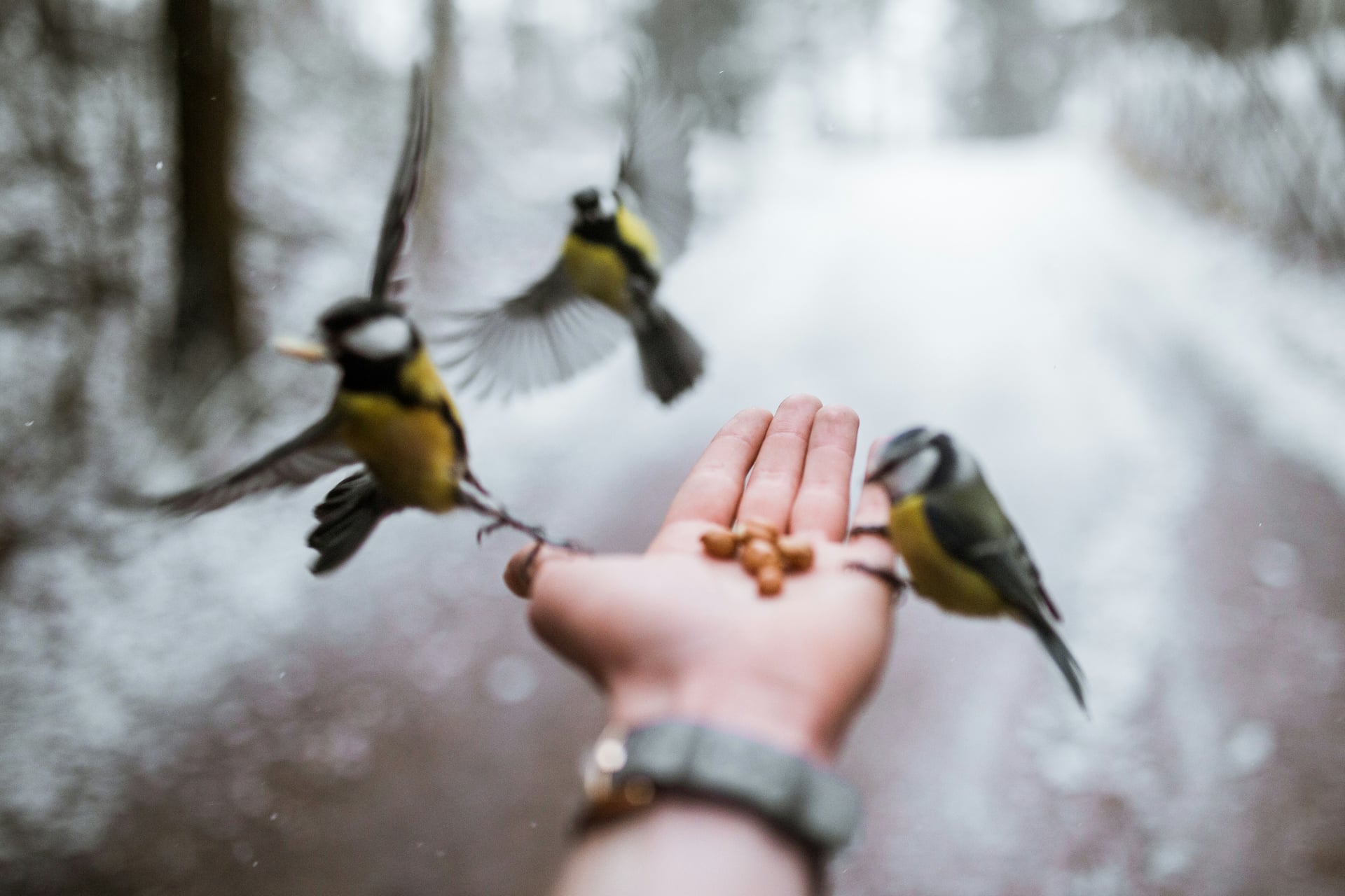 Fly fishing conservation - Giving back to the waters we love